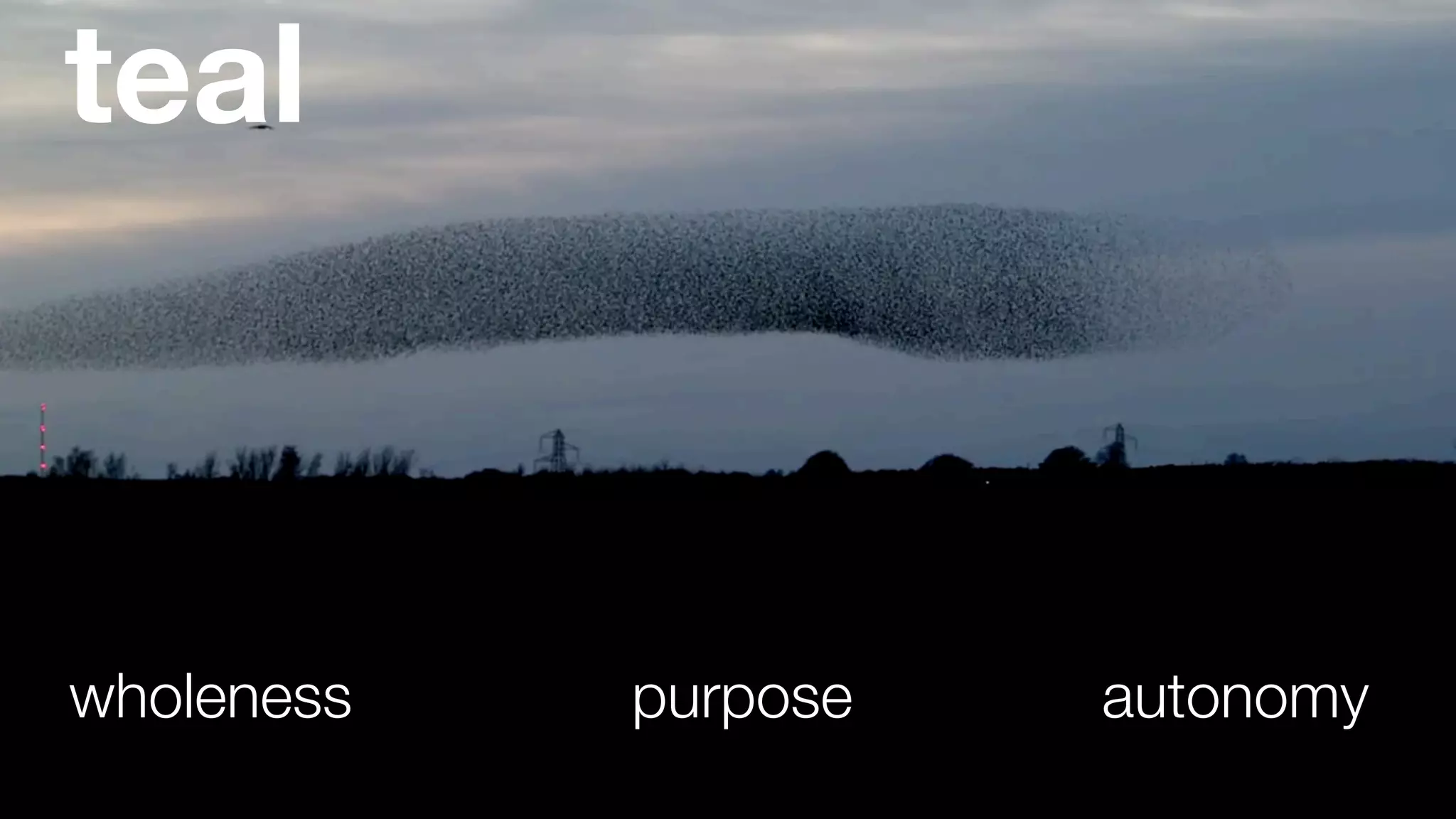 teal
wholeness purpose autonomy
 