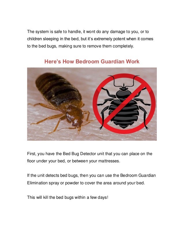Bedroom Guardian Reviews Don T Believe The Lies You Hear