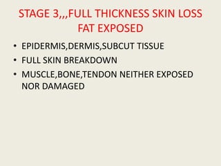 STAGE 3,,,FULL THICKNESS SKIN LOSS
FAT EXPOSED
• EPIDERMIS,DERMIS,SUBCUT TISSUE
• FULL SKIN BREAKDOWN
• MUSCLE,BONE,TENDON NEITHER EXPOSED
NOR DAMAGED
 