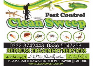bedbugs control rawalpindi