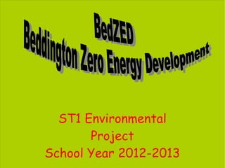 ST1 Environmental
Project
School Year 2012-2013
 