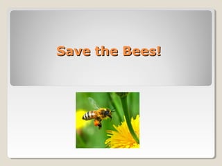 Save the Bees!Save the Bees!
 