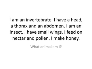 I am an invertebrate. I have a head,
a thorax and an abdomen. I am an
insect. I have small wings. I feed on
nectar and pollen. I make honey.
What animal am I?
 