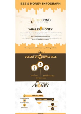 Bee and honey Infographic