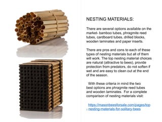 A helpful guide to educate on raising solitary bees | PPTX