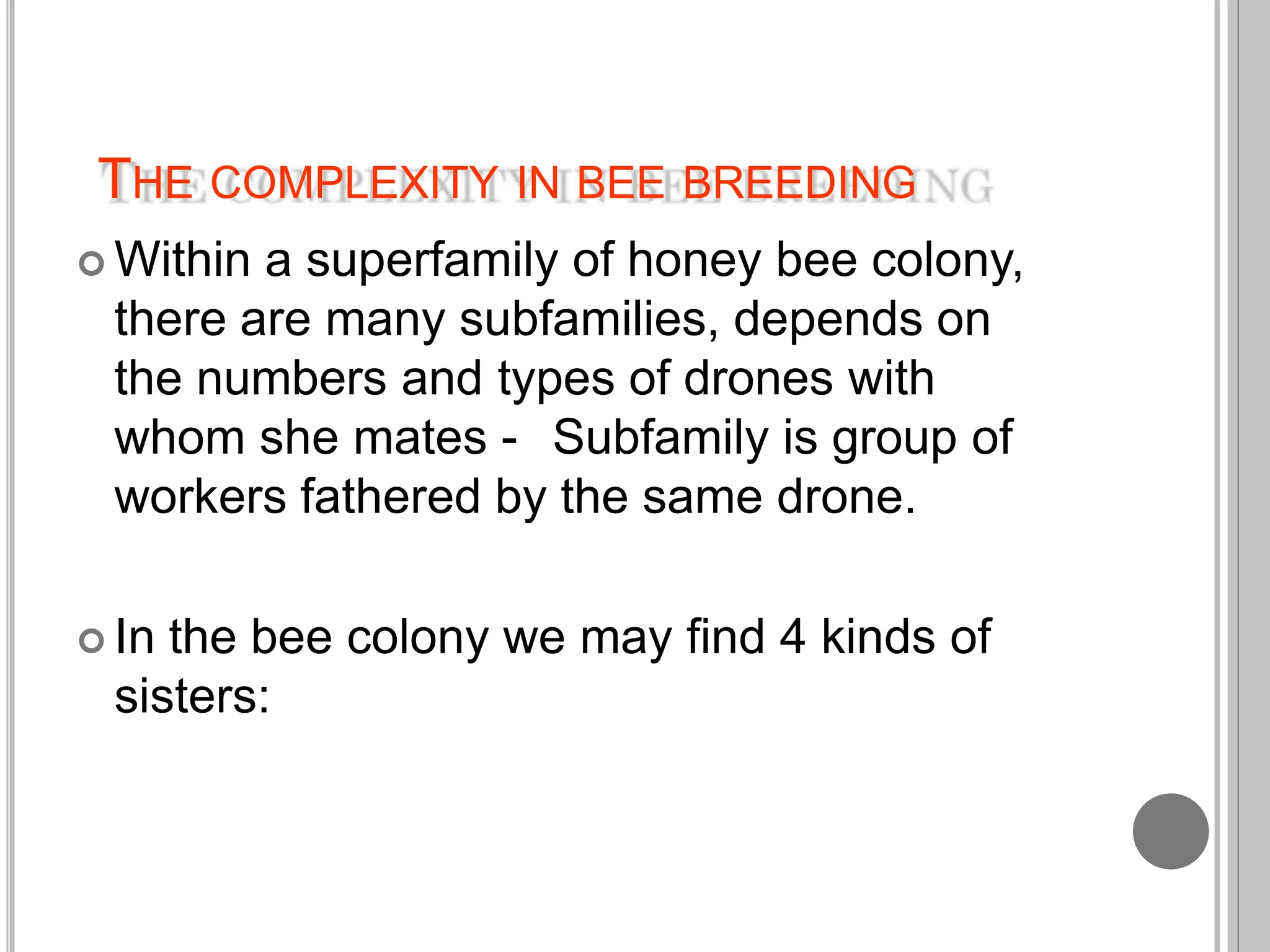 Bee-breeding and queen rearing-Haim-Efrat.pptx