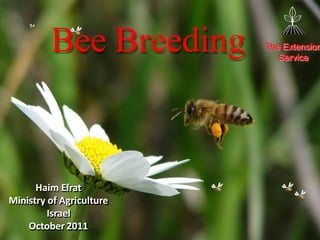 Haim Efrat
Ministry of Agriculture
Israel
October 2011
The Extension
Service
Bee Breeding
 
