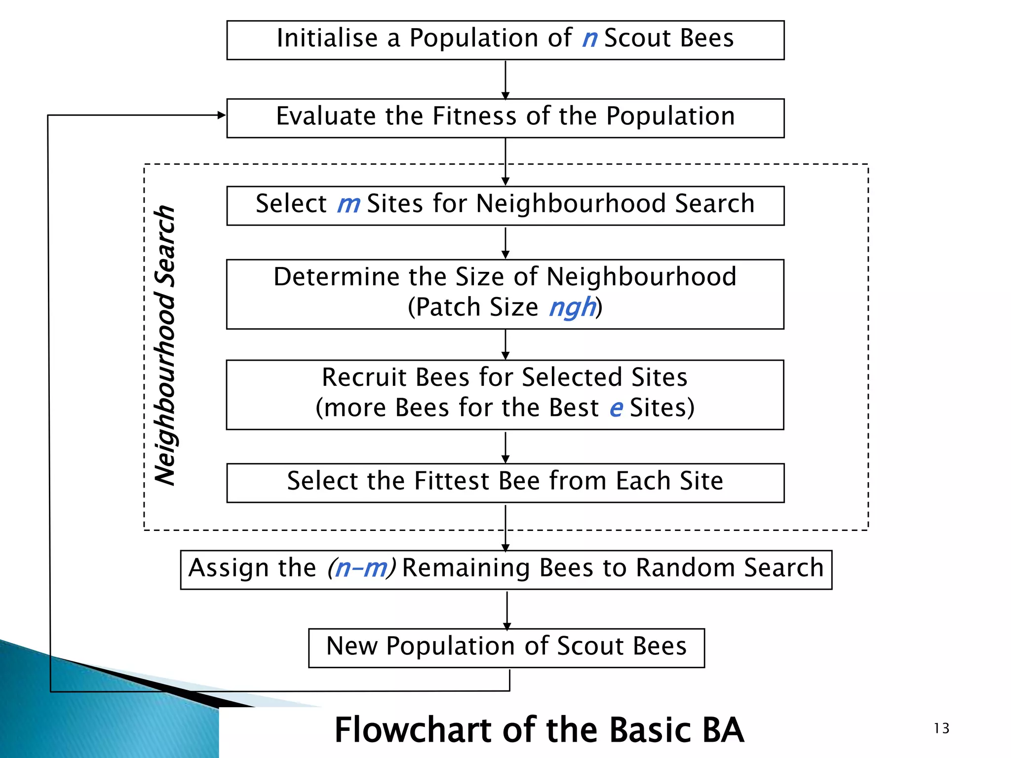 Masaryk University, Brno, Czech Republic , Wed 08 Apr 2009 13
Evaluate the Fitness of the Population
Determine the Size of Neighbourhood
(Patch Size ngh)
Recruit Bees for Selected Sites
(more Bees for the Best e Sites)
Select the Fittest Bee from Each Site
Assign the (n–m) Remaining Bees to Random Search
New Population of Scout Bees
Select m Sites for Neighbourhood Search
NeighbourhoodSearch
Flowchart of the Basic BA
Initialise a Population of n Scout Bees
 