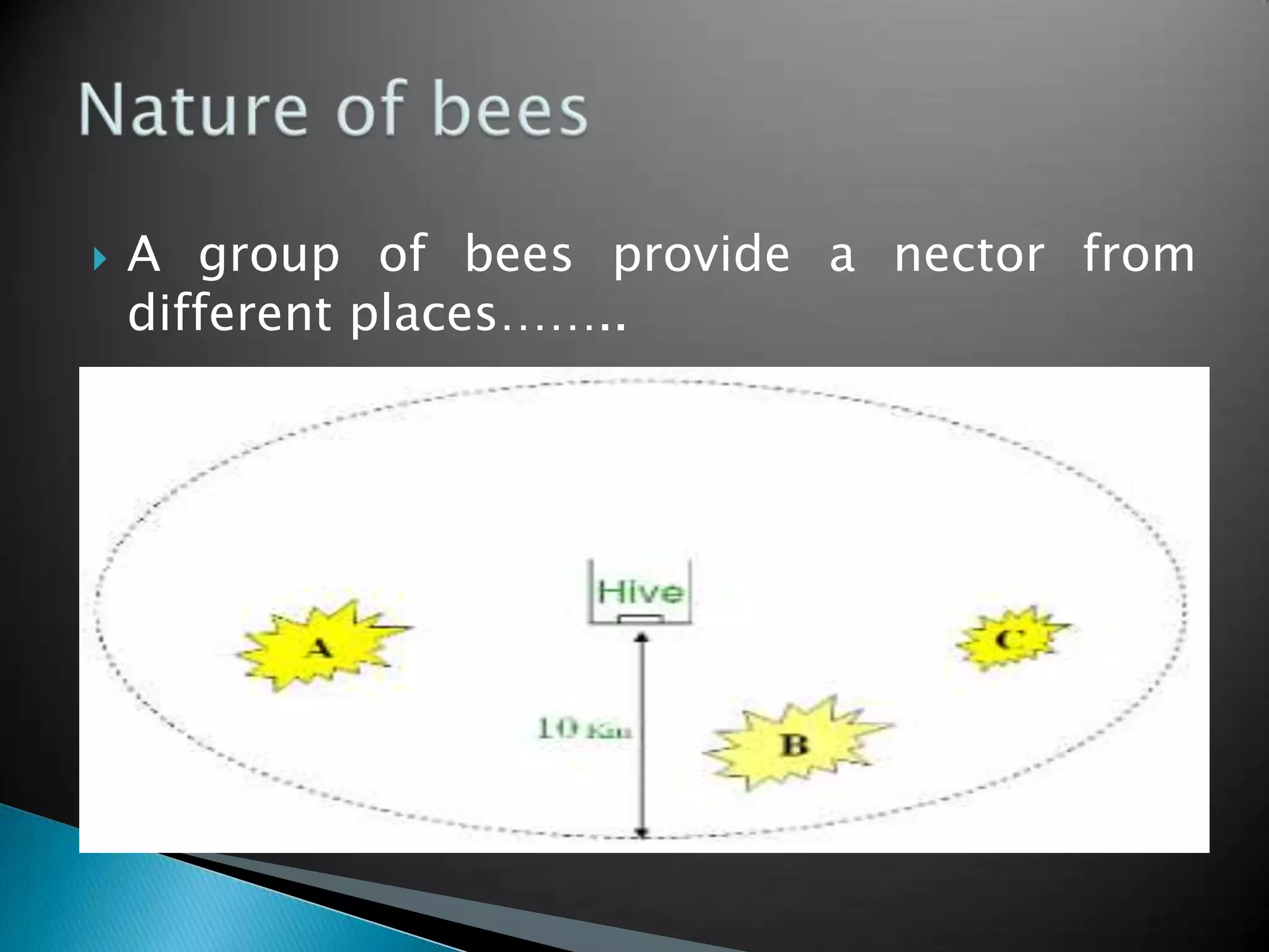  A group of bees provide a nector from
different places……..
 