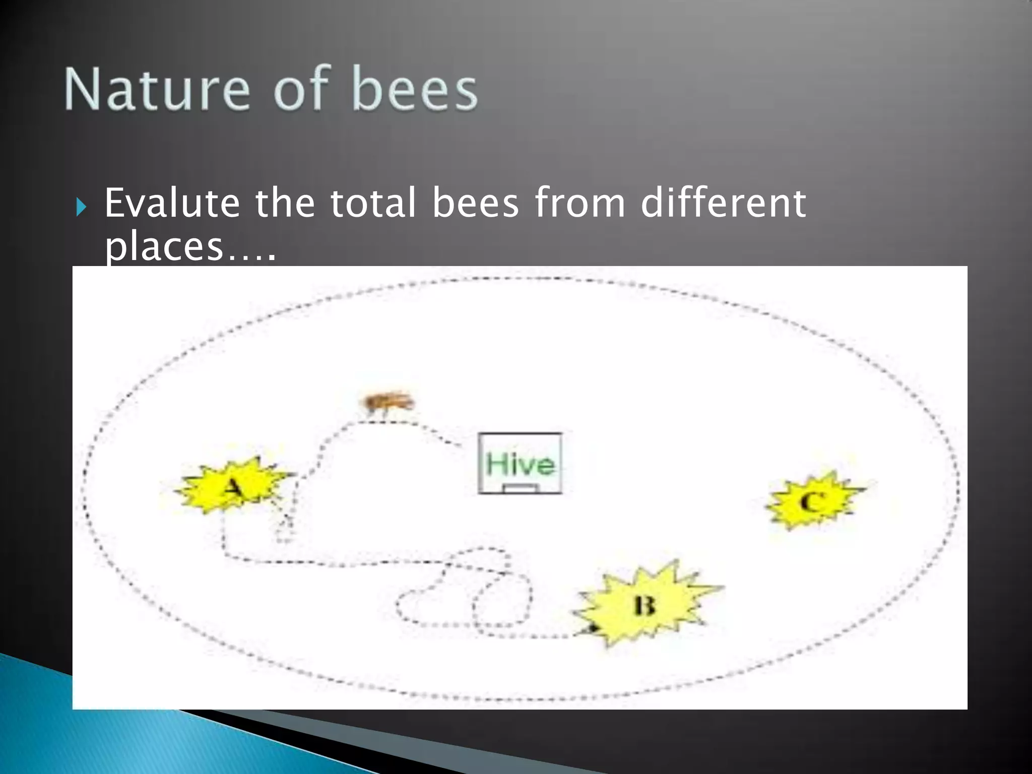  Evalute the total bees from different
places….
 