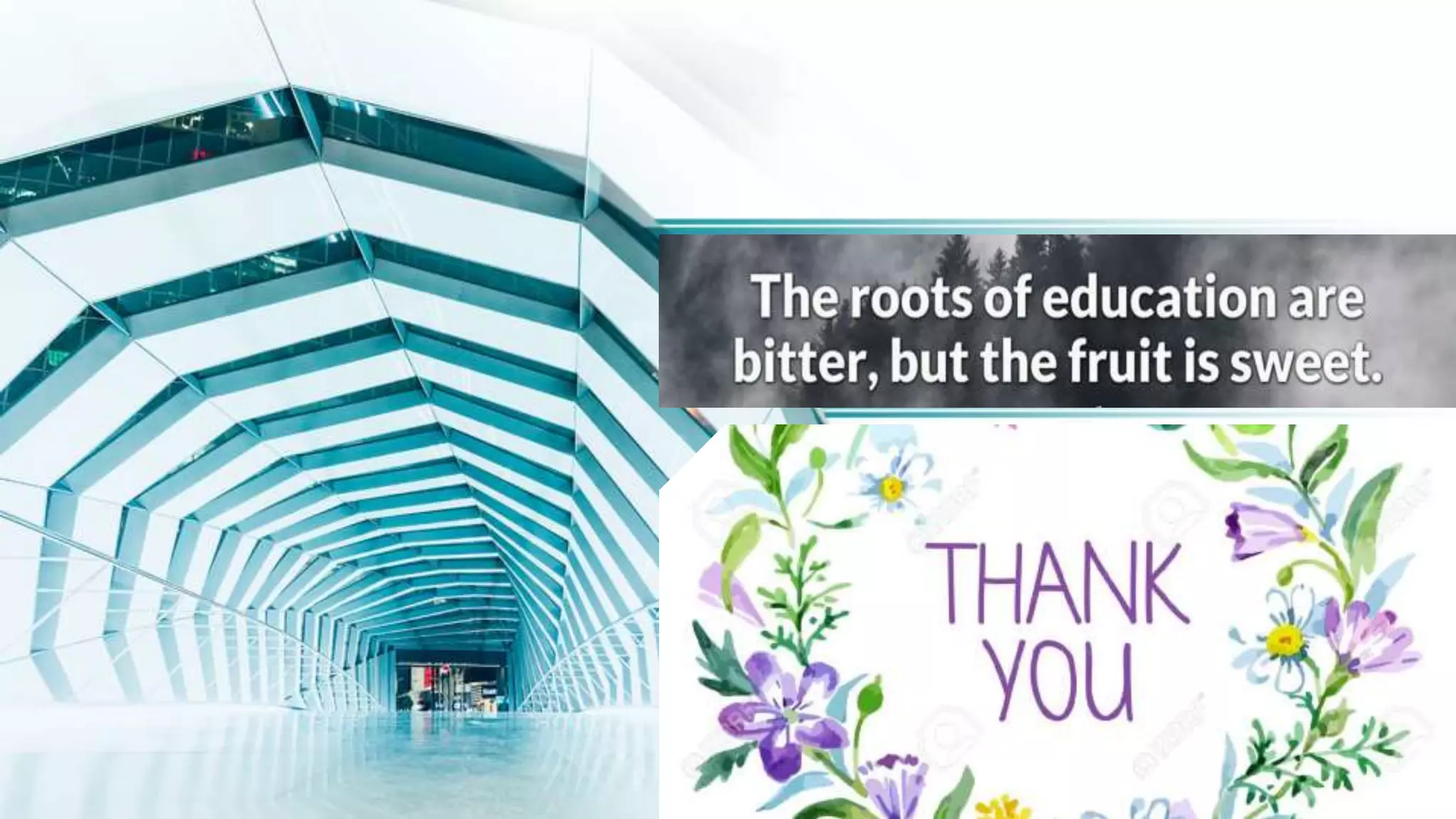  Introduction to statics and its Applications in Real Life 