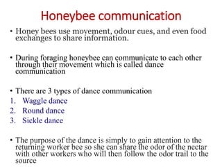 Honeybee communication
• Honey bees use movement, odour cues, and even food
exchanges to share information.
• During foraging honeybee can communicate to each other
through their movement which is called dance
communication
• There are 3 types of dance communication
1. Waggle dance
2. Round dance
3. Sickle dance
• The purpose of the dance is simply to gain attention to the
returning worker bee so she can share the odor of the nectar
with other workers who will then follow the odor trail to the
source
 
