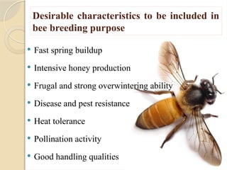 honey Bee Breeding methods and process.pptx