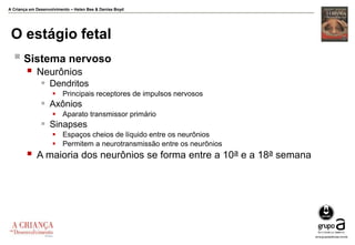 A Criança em Desenvolvimento – Helen Bee & Denise Boyd
O estágio fetal
 Sistema nervoso
 Neurônios
 Dendritos
 Principais receptores de impulsos nervosos
 Axônios
 Aparato transmissor primário
 Sinapses
 Espaços cheios de líquido entre os neurônios
 Permitem a neurotransmissão entre os neurônios
 A maioria dos neurônios se forma entre a 10a e a 18a semana
 