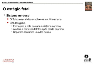 A Criança em Desenvolvimento – Helen Bee & Denise Boyd
O estágio fetal
 Sistema nervoso
 O Tubo neural desenvolve-se na 4a semana
 Células gliais
 Fornecem a cola que une o sistema nervoso
 Ajudam a remover detritos após morte neuronal
 Separam neurônios uns dos outros
 