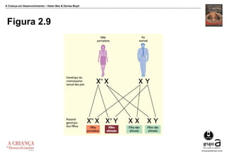A Criança em Desenvolvimento – Helen Bee & Denise Boyd
Figura 2.9
 