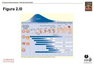 A Criança em Desenvolvimento – Helen Bee & Denise Boyd
Figura 2.l0
 