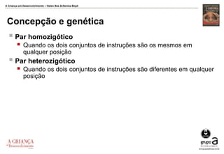 A Criança em Desenvolvimento – Helen Bee & Denise Boyd
Concepção e genética
 Par homozigótico
 Quando os dois conjuntos de instruções são os mesmos em
qualquer posição
 Par heterozigótico
 Quando os dois conjuntos de instruções são diferentes em qualquer
posição
 