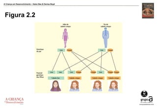 A Criança em Desenvolvimento – Helen Bee & Denise Boyd
Figura 2.2
 