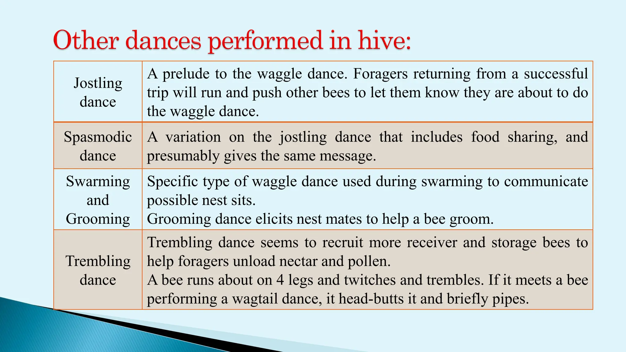 Jostling
dance
A prelude to the waggle dance. Foragers returning from a successful
trip will run and push other bees to let them know they are about to do
the waggle dance.
Spasmodic
dance
A variation on the jostling dance that includes food sharing, and
presumably gives the same message.
Swarming
and
Grooming
Specific type of waggle dance used during swarming to communicate
possible nest sits.
Grooming dance elicits nest mates to help a bee groom.
Trembling
dance
Trembling dance seems to recruit more receiver and storage bees to
help foragers unload nectar and pollen.
A bee runs about on 4 legs and twitches and trembles. If it meets a bee
performing a wagtail dance, it head-butts it and briefly pipes.
 
