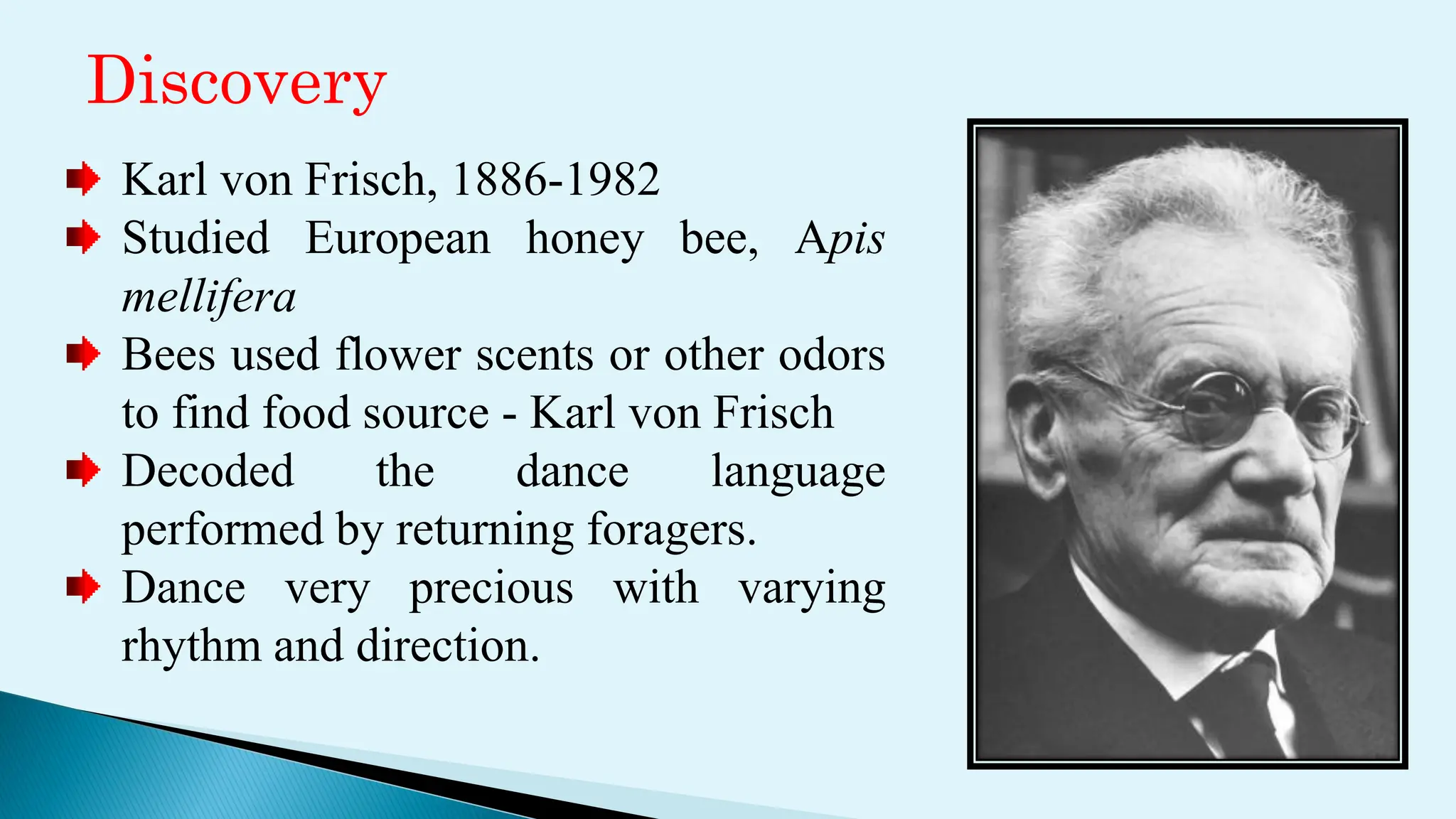 Karl von Frisch, 1886-1982
Studied European honey bee, Apis
mellifera
Bees used flower scents or other odors
to find food source - Karl von Frisch
Decoded the dance language
performed by returning foragers.
Dance very precious with varying
rhythm and direction.
Discovery
 