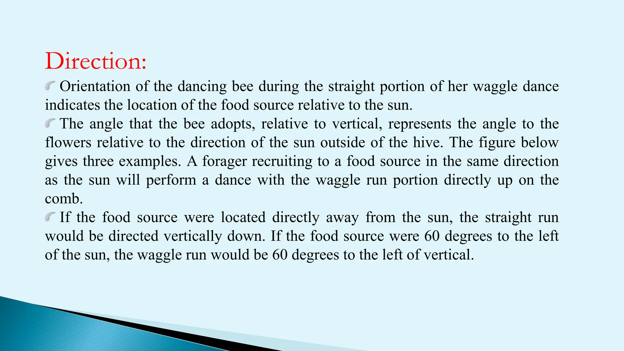 Direction:
Orientation of the dancing bee during the straight portion of her waggle dance
indicates the location of the food source relative to the sun.
The angle that the bee adopts, relative to vertical, represents the angle to the
flowers relative to the direction of the sun outside of the hive. The figure below
gives three examples. A forager recruiting to a food source in the same direction
as the sun will perform a dance with the waggle run portion directly up on the
comb.
If the food source were located directly away from the sun, the straight run
would be directed vertically down. If the food source were 60 degrees to the left
of the sun, the waggle run would be 60 degrees to the left of vertical.
 