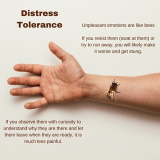 Distress
Tolerance Unpleasant emotions are like bees
If you resist them (swat at them) or
try to run away, you will likely make
it worse and get stung.
If you observe them with curiosity to
understand why they are there and let
them leave when they are ready, it is
much less painful.
 