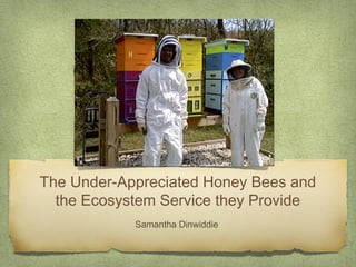 The Under-Appreciated Honey Bees and
the Ecosystem Service they Provide
Samantha Dinwiddie
 