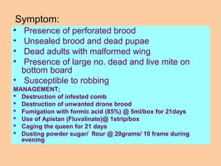 Symptom:
• Presence of perforated brood
• Unsealed brood and dead pupae
• Dead adults with malformed wing
• Presence of large no. dead and live mite on
bottom board
• Susceptible to robbing
MANAGEMENT;
 Destruction of infested comb
 Destruction of unwanted drone brood
 Fumigation with formic acid (85%) @ 5ml/box for 21days
 Use of Apistan (Fluvalinate)@ 1strip/box
 Caging the queen for 21 days
 Dusting powder sugar/ flour @ 20grams/ 10 frame during
evening
 