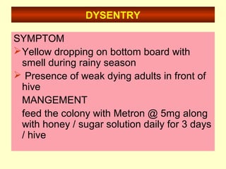 DYSENTRY
SYMPTOM
Yellow dropping on bottom board with
smell during rainy season
 Presence of weak dying adults in front of
hive
MANGEMENT
feed the colony with Metron @ 5mg along
with honey / sugar solution daily for 3 days
/ hive
 