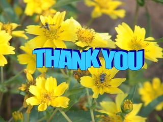 Bee enemies and diseases