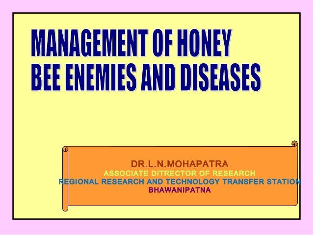 List of diseases of the honey bee - Wikipedia