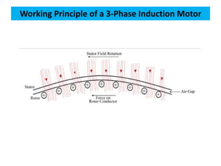 Working Principle of a 3-Phase Induction Motor
 