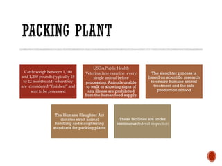 Cattle weigh between 1,100
and 1,250 pounds (typically 18
to 22 months old) when they
are considered “finished” and
sent to be processed
USDAPublic Health
Veterinarians examine every
single animal before
processing. Animals unable
to walk or showing signs of
any illness are prohibited
from the human food supply.
The slaughter process is
based on scientific research
to ensure humane animal
treatment and the safe
production of food
The Humane Slaughter Act
dictates strict animal
handling and slaughtering
standards for packing plants
These facilities are under
continuous federal inspection
 