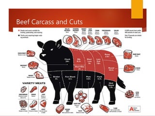 Beef Carcass and Cuts
 