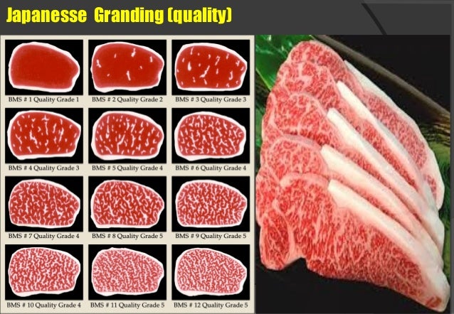 Japanese Beef Grading Chart