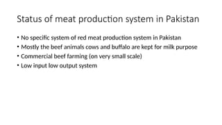Beef and mutton production Lecture#1.pptxb | PPTX