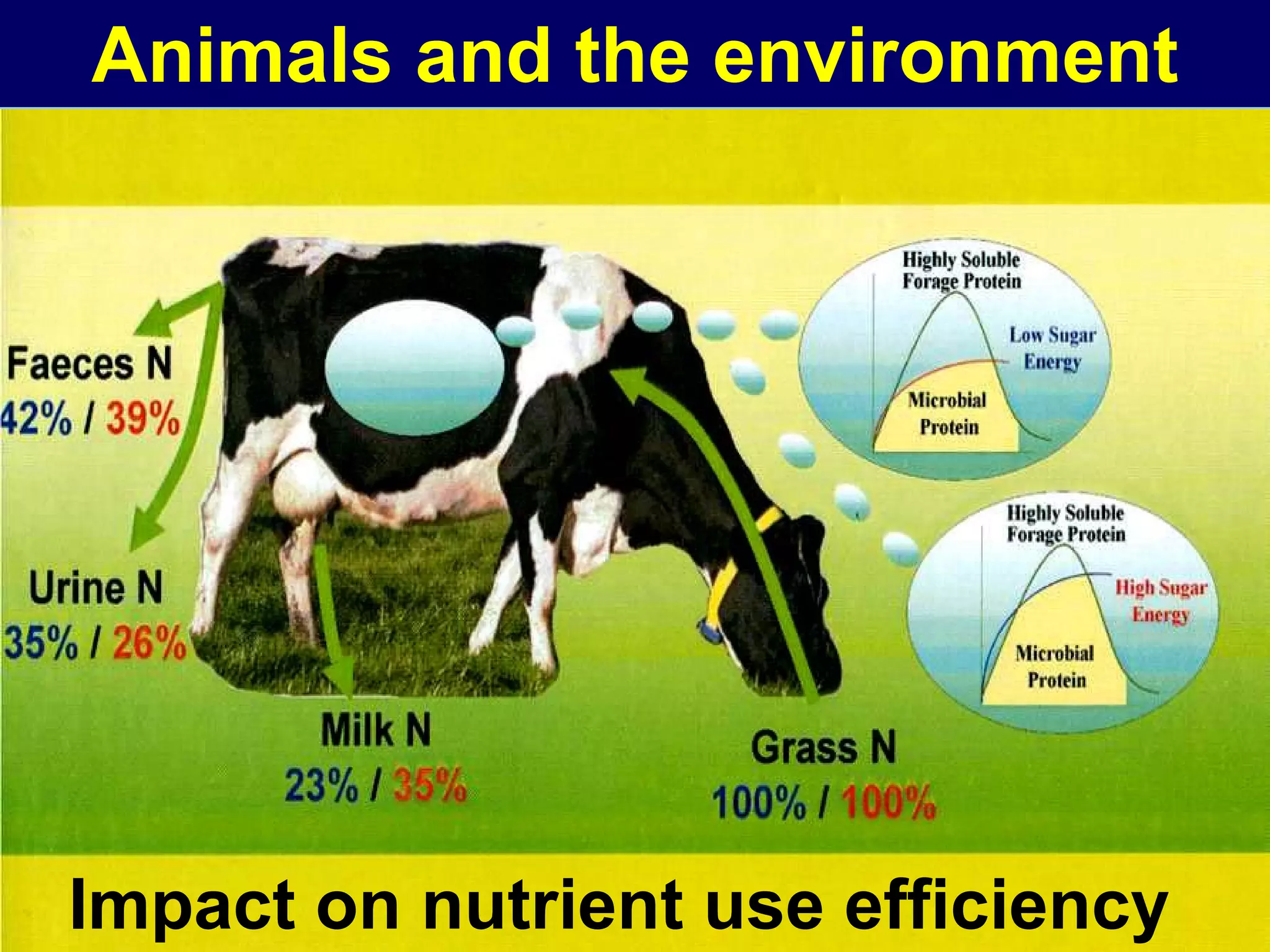 Animals and the environment




Impact on nutrient use efficiency
 