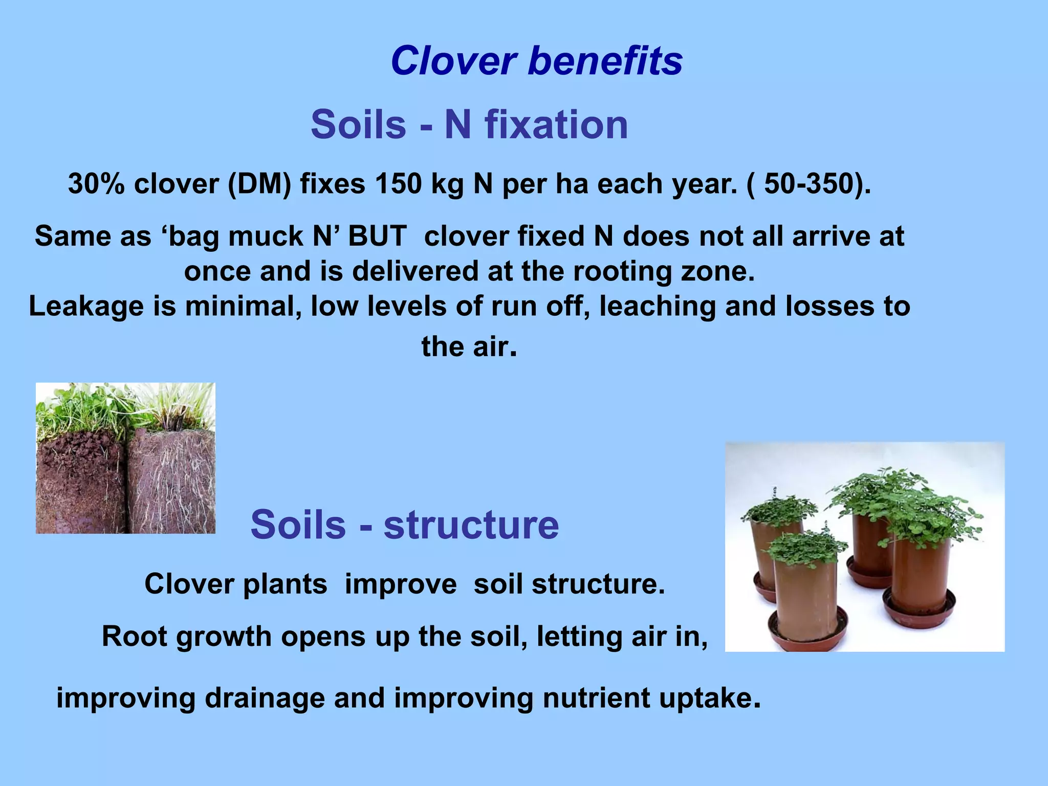 Clover benefits
                    Soils - N fixation
  30% clover (DM) fixes 150 kg N per ha each year. ( 50-350).
Same as ‘bag muck N’ BUT clover fixed N does not all arrive at
           once and is delivered at the rooting zone.
Leakage is minimal, low levels of run off, leaching and losses to
                            the air.




                Soils - structure
        Clover plants improve soil structure.
     Root growth opens up the soil, letting air in,

  improving drainage and improving nutrient uptake.
 