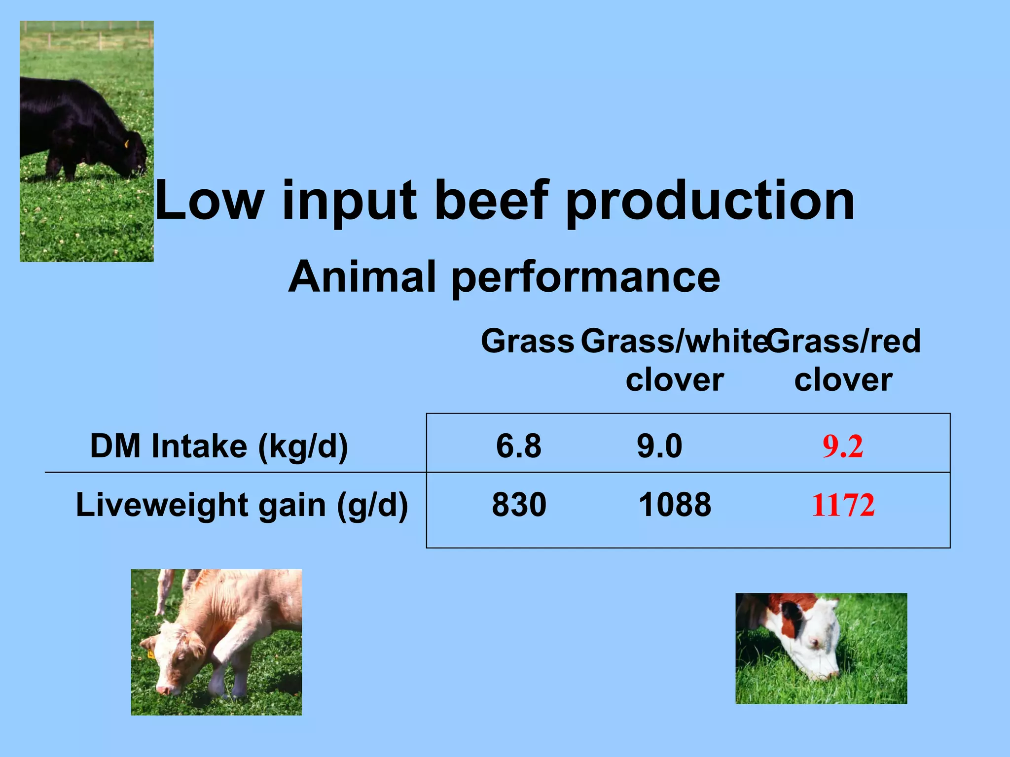 Low input beef production
             Animal performance
                        Grass Grass/whiteGrass/red
                                clover    clover
DM Intake (kg/d)        6.8      9.0        9.2
Liveweight gain (g/d)   830      1088      1172
 