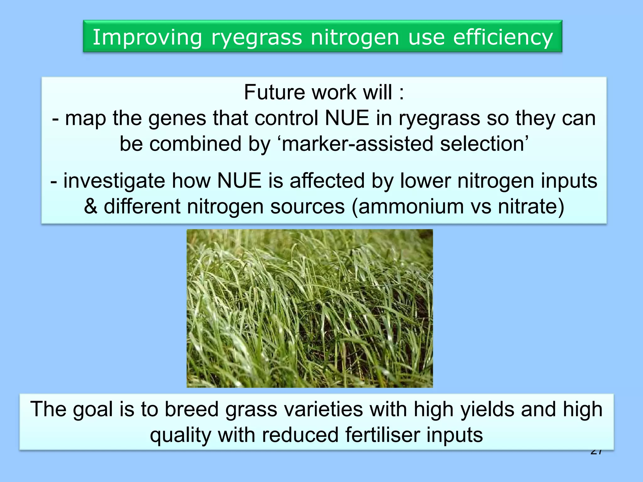 Improving ryegrass nitrogen use efficiency

                     Future work will :
  - map the genes that control NUE in ryegrass so they can
         be combined by ‘marker-assisted selection’
  - investigate how NUE is affected by lower nitrogen inputs
      & different nitrogen sources (ammonium vs nitrate)




The goal is to breed grass varieties with high yields and high
             quality with reduced fertiliser inputs
                                                            27
 