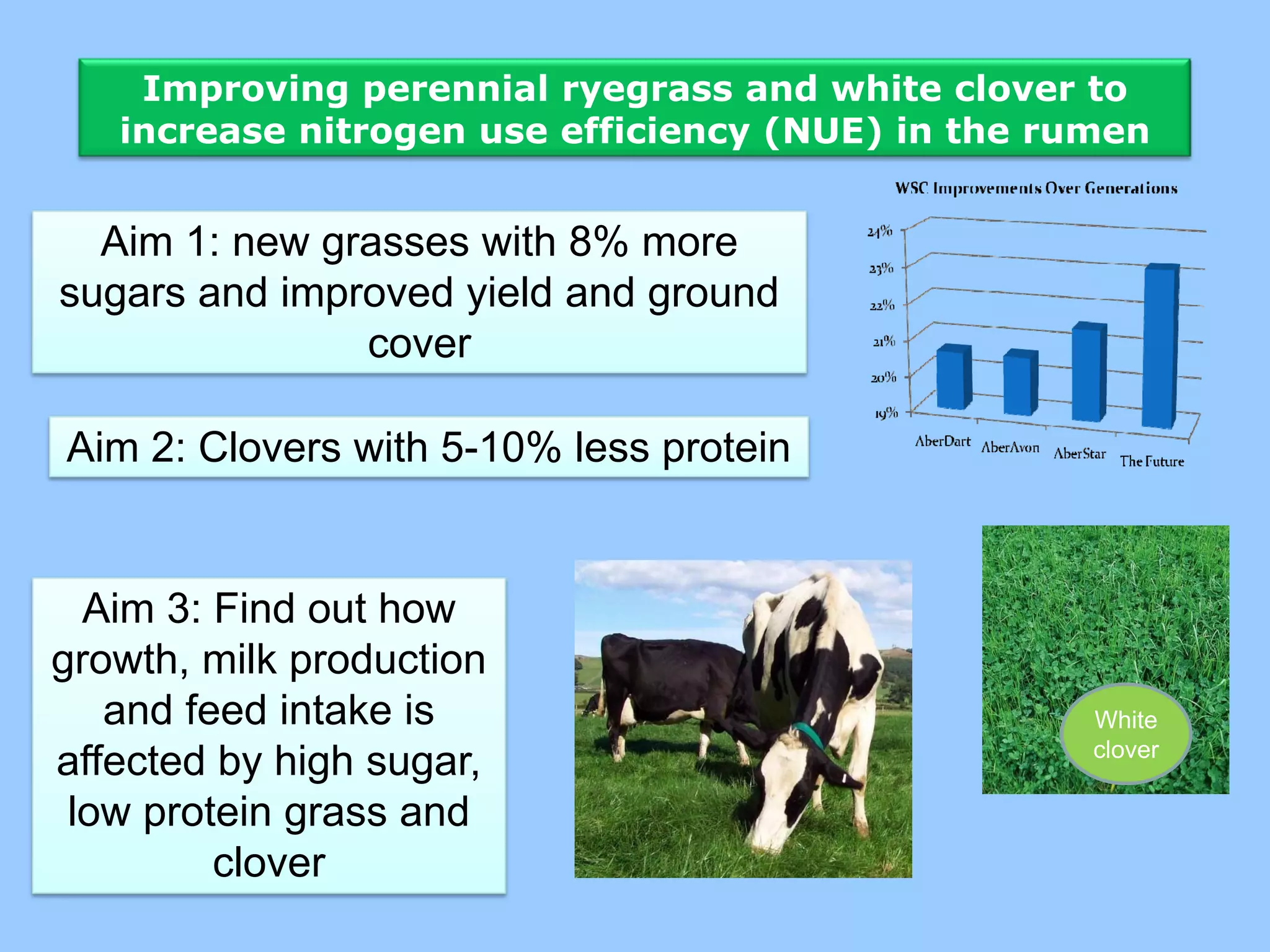 Improving perennial ryegrass and white clover to
   increase nitrogen use efficiency (NUE) in the rumen


  Aim 1: new grasses with 8% more
sugars and improved yield and ground
               cover

Aim 2: Clovers with 5-10% less protein


  Aim 3: Find out how
growth, milk production
   and feed intake is                              White
                                                   clover
affected by high sugar,
 low protein grass and
         clover
 