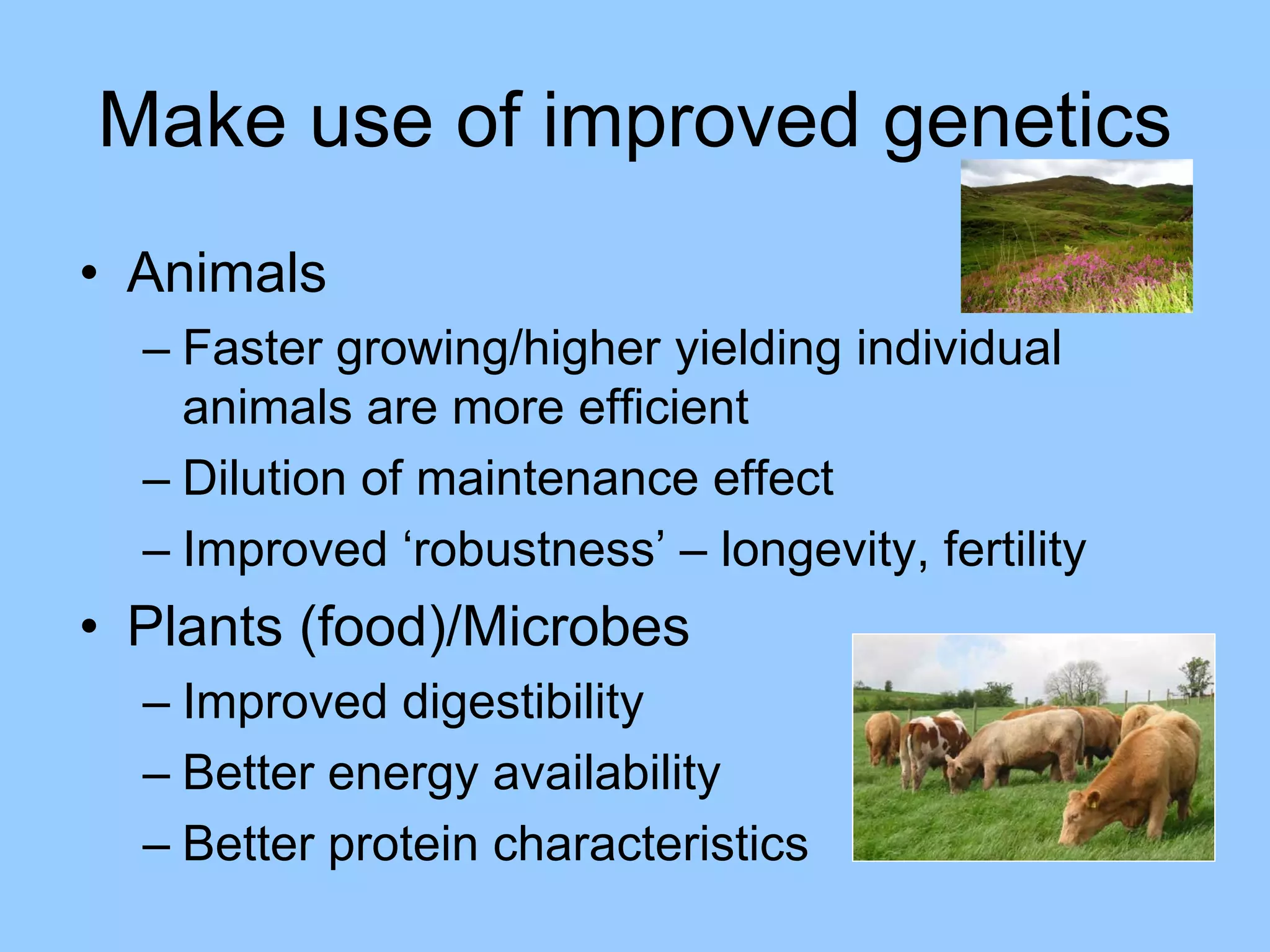 Make use of improved genetics
• Animals
  – Faster growing/higher yielding individual
    animals are more efficient
  – Dilution of maintenance effect
  – Improved ‘robustness’ – longevity, fertility
• Plants (food)/Microbes
  – Improved digestibility
  – Better energy availability
  – Better protein characteristics
 