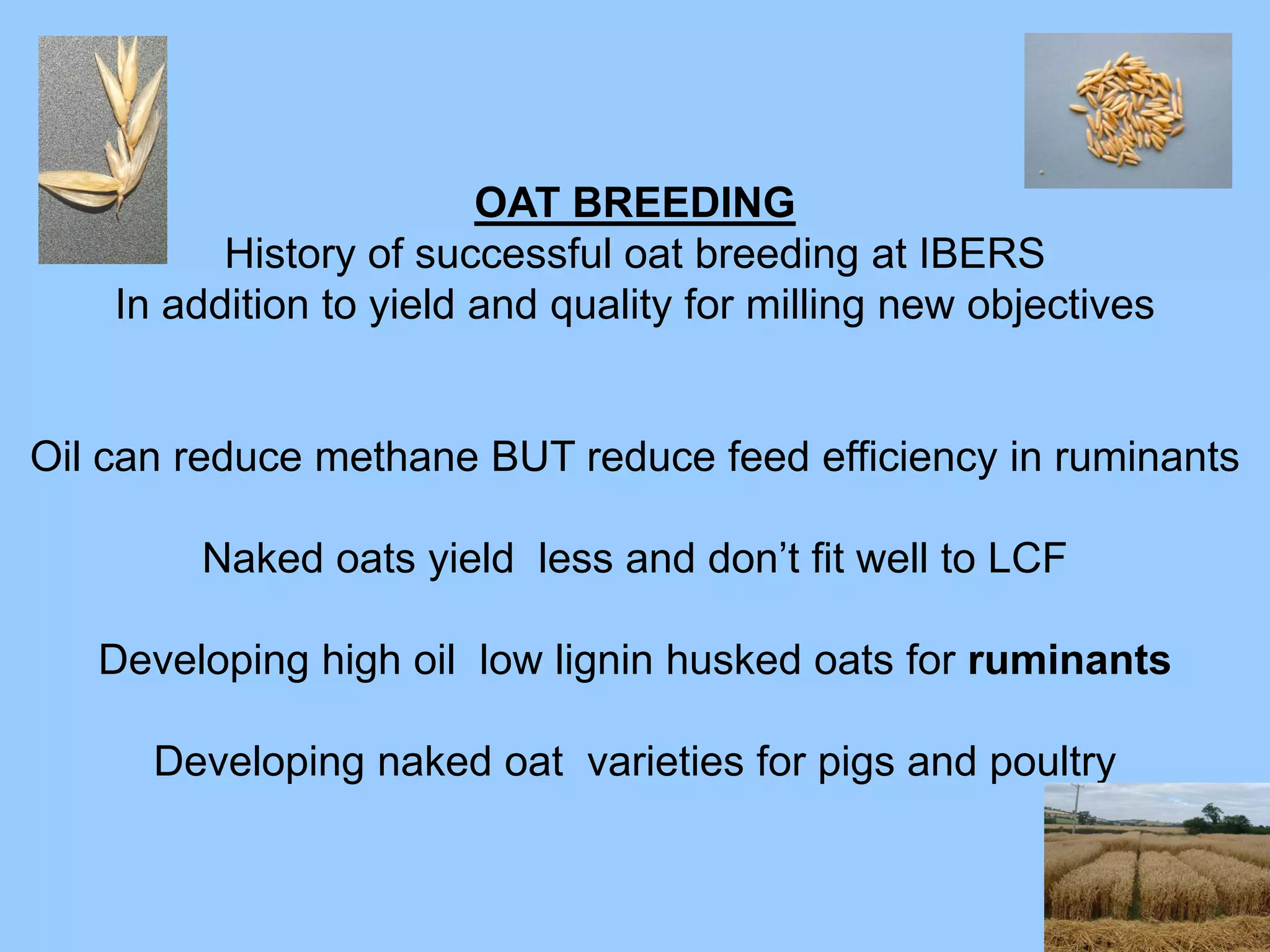 OAT BREEDING
          History of successful oat breeding at IBERS
    In addition to yield and quality for milling new objectives


Oil can reduce methane BUT reduce feed efficiency in ruminants

        Naked oats yield less and don’t fit well to LCF

   Developing high oil low lignin husked oats for ruminants

      Developing naked oat varieties for pigs and poultry
 