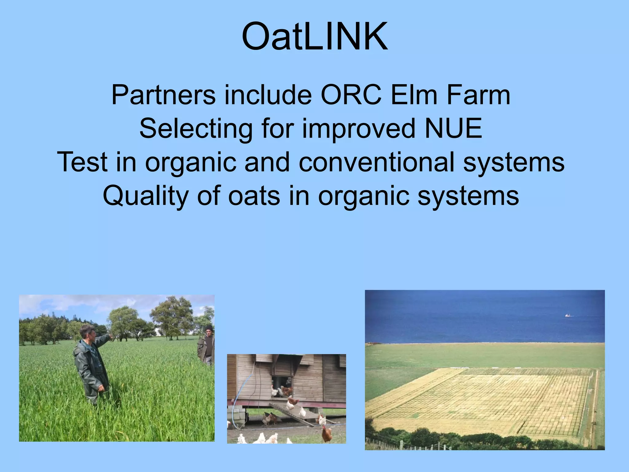 OatLINK
    Partners include ORC Elm Farm
       Selecting for improved NUE
Test in organic and conventional systems
   Quality of oats in organic systems
 