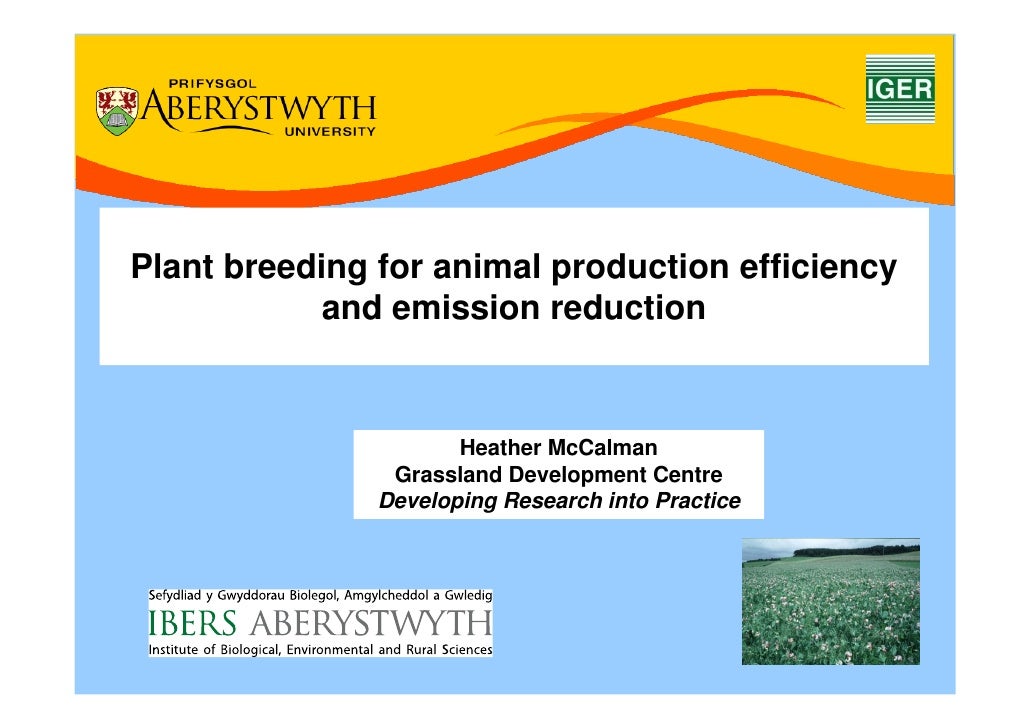 Beef and sheep Plant Breeding for animal production