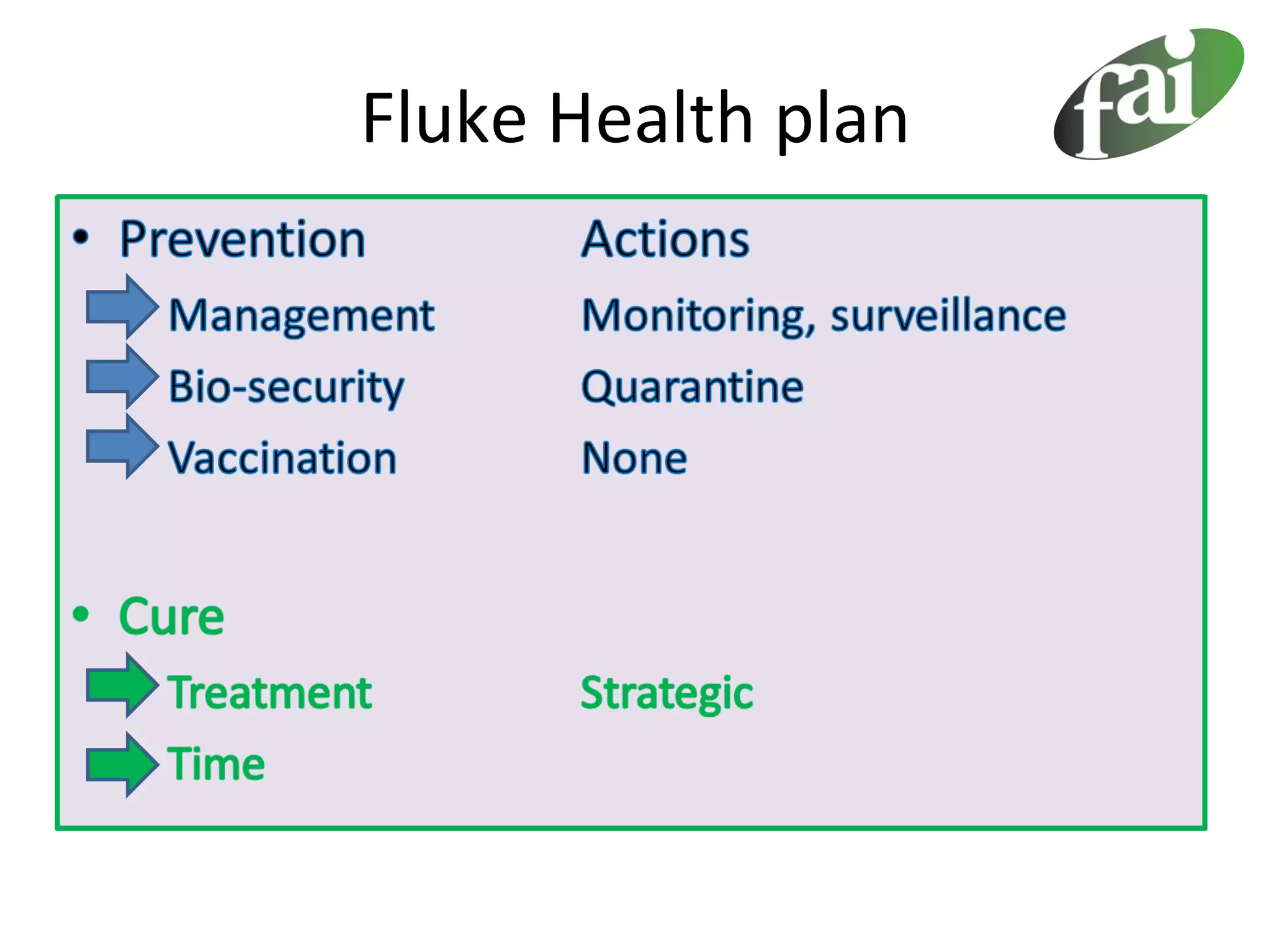 Fluke Health plan
 
