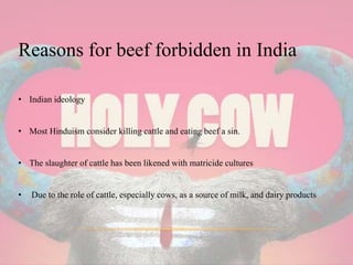 Reasons for beef forbidden in India
• Indian ideology
• Most Hinduism consider killing cattle and eating beef a sin.
• The slaughter of cattle has been likened with matricide cultures
• Due to the role of cattle, especially cows, as a source of milk, and dairy products
 