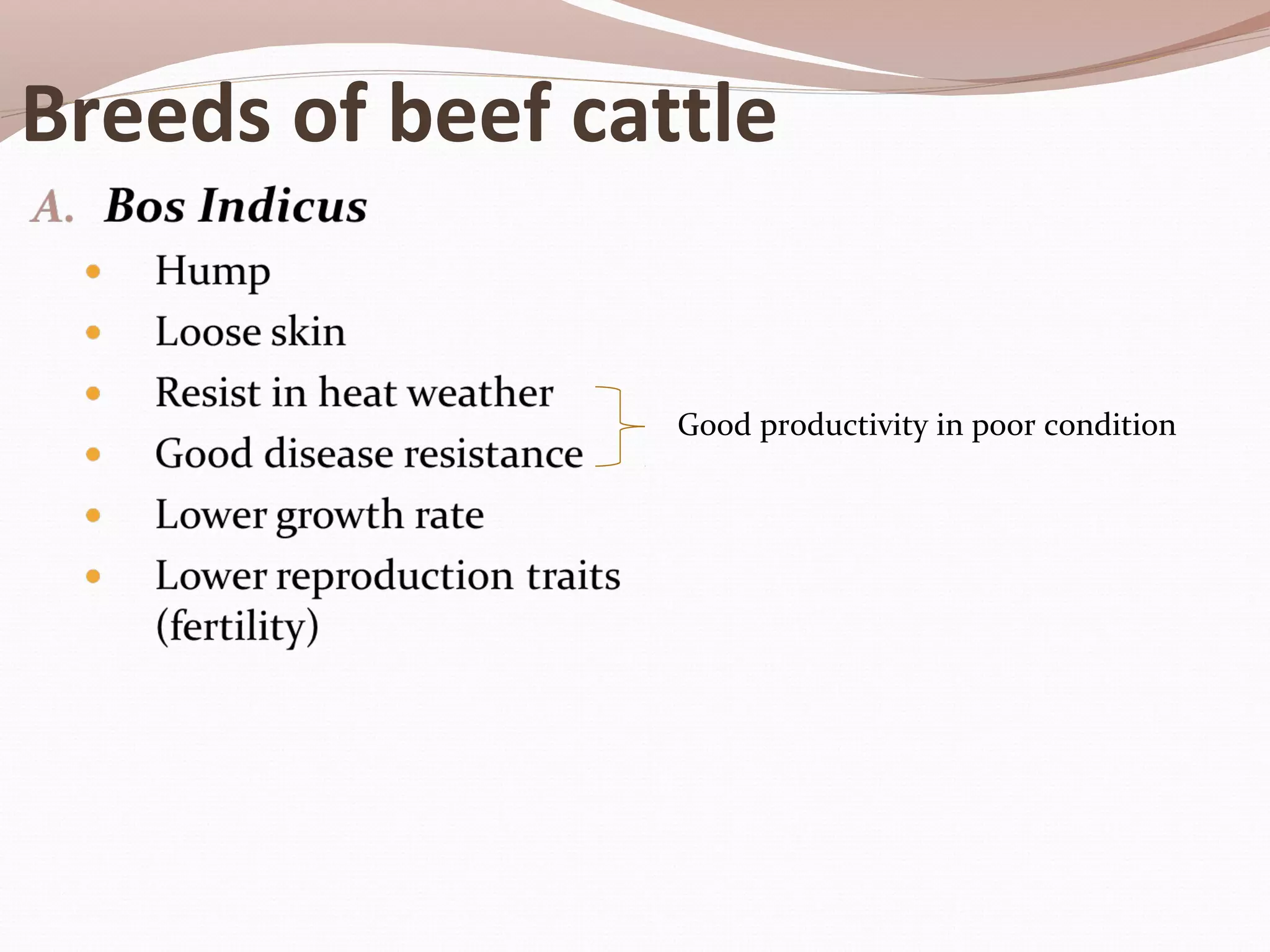 Beef Cattle Breeds | PPT