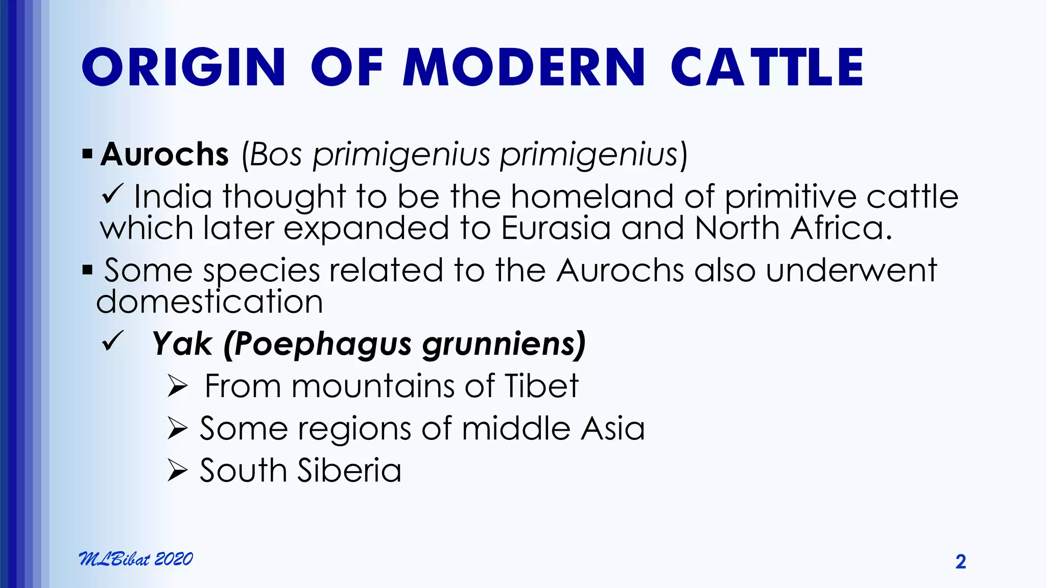 Beef cattle breeds | PDF